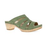 Women's Dansko Lyndi Clogs
