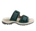 Women's Softwalk Oasis Sandals